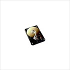 Fujitsu TS Festplatte - 1 TB - intern - 3.5" - SAT